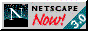 ironic netscape button